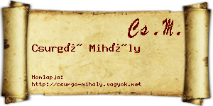 Csurgó Mihály névjegykártya