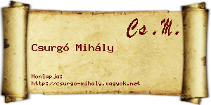 Csurgó Mihály névjegykártya